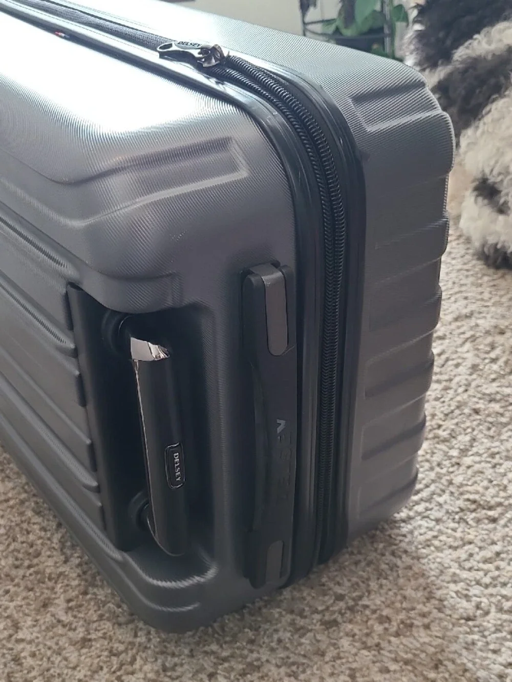 Delsey Hardside Spinner Luggage - Charcoal Black